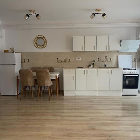 Apartament Yra Rm.Valcea Râmnicu Vâlcea Buitenkant foto
