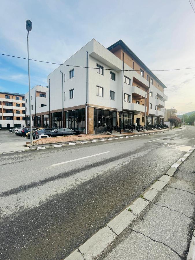 Apartament Yra Rm.Valcea Râmnicu Vâlcea Buitenkant foto
